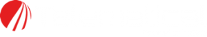 Telematical Logo